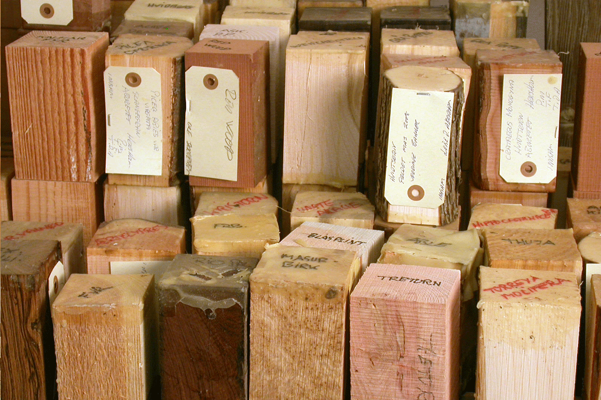 Træs hårdhed, sammenligning