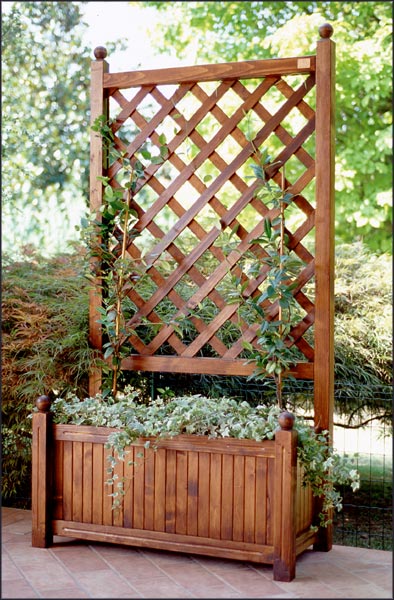 Vedligeholdelse af fyr, gran og nåletræ, ude.