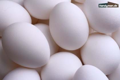 Pletter fra æg kan rengøres