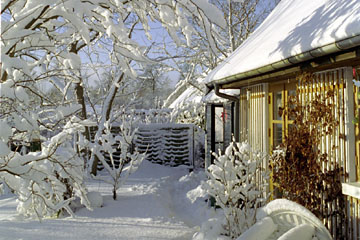 Nyttehaven om vinteren