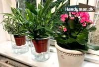Billigt vandingssystem til potteplanter