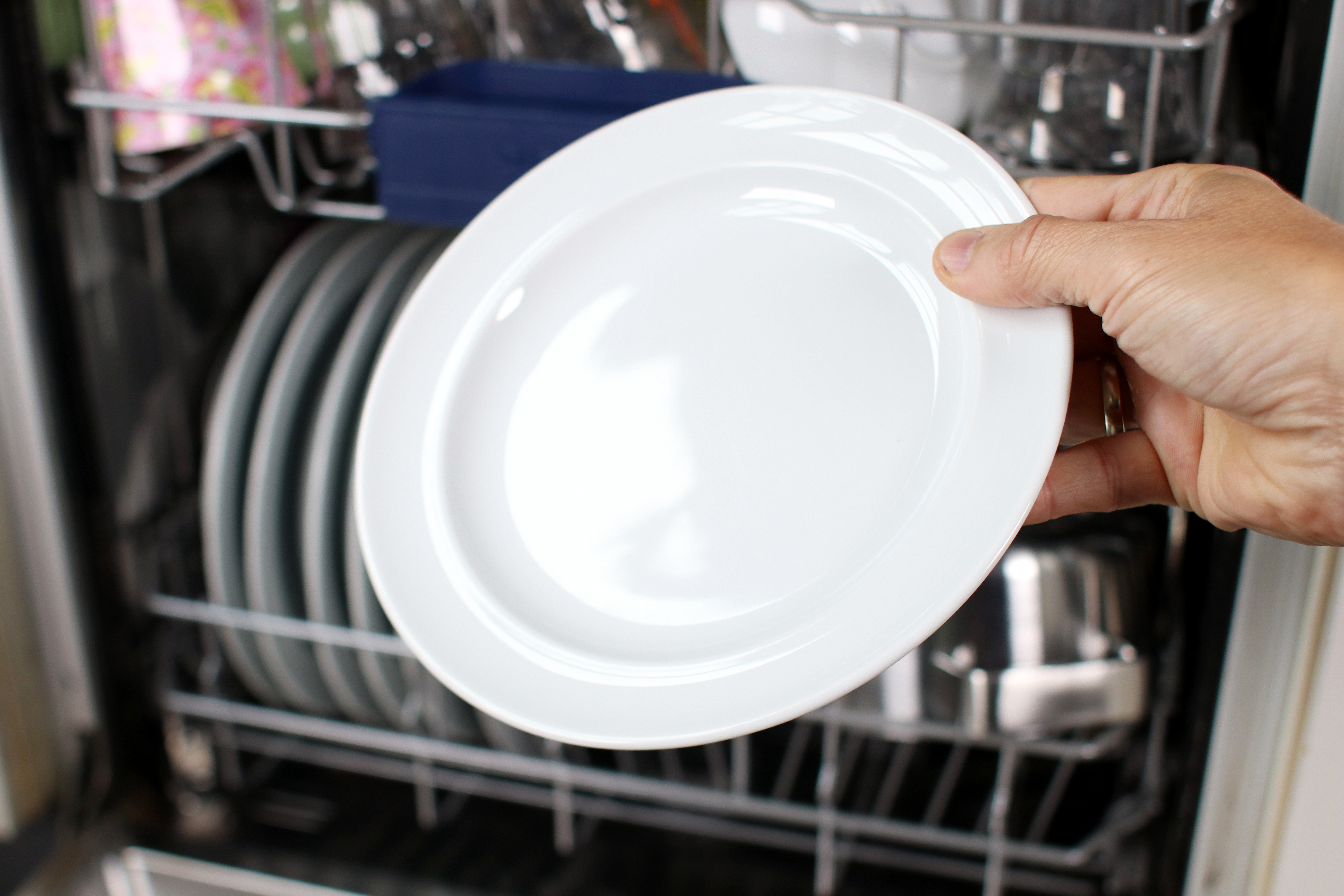 kimplante Fordampe er der Undgå flyverust | Få renere opvask fra din opvaskemaskine