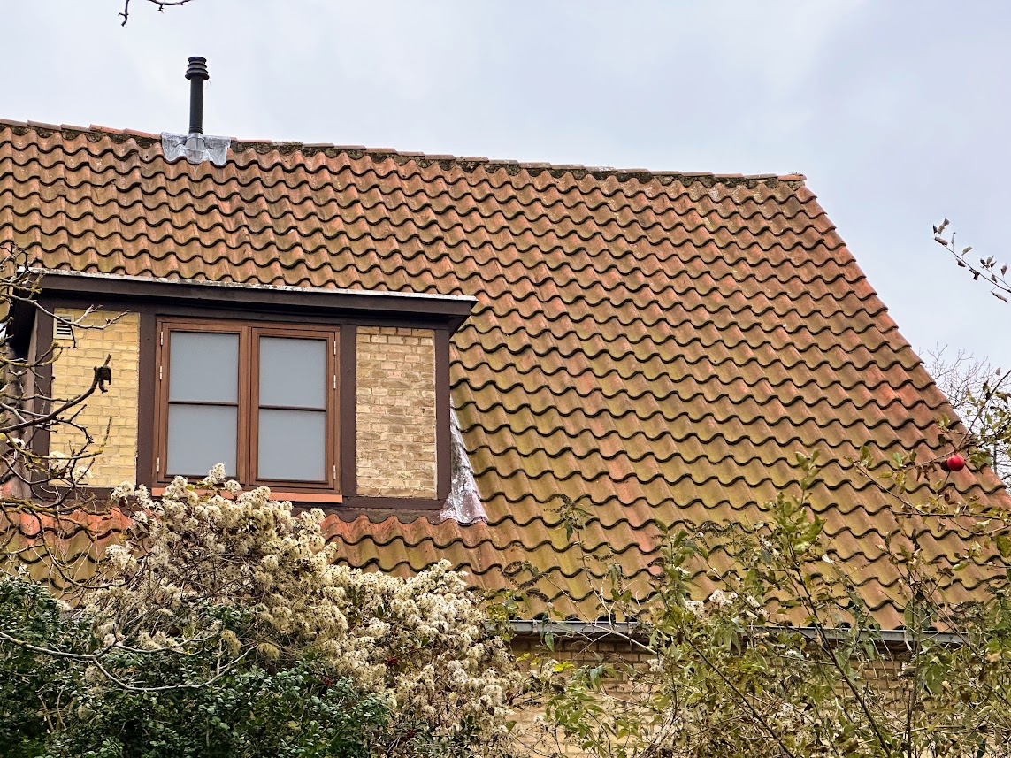 Sådan ved du, at det er tid til at få et nyt tag